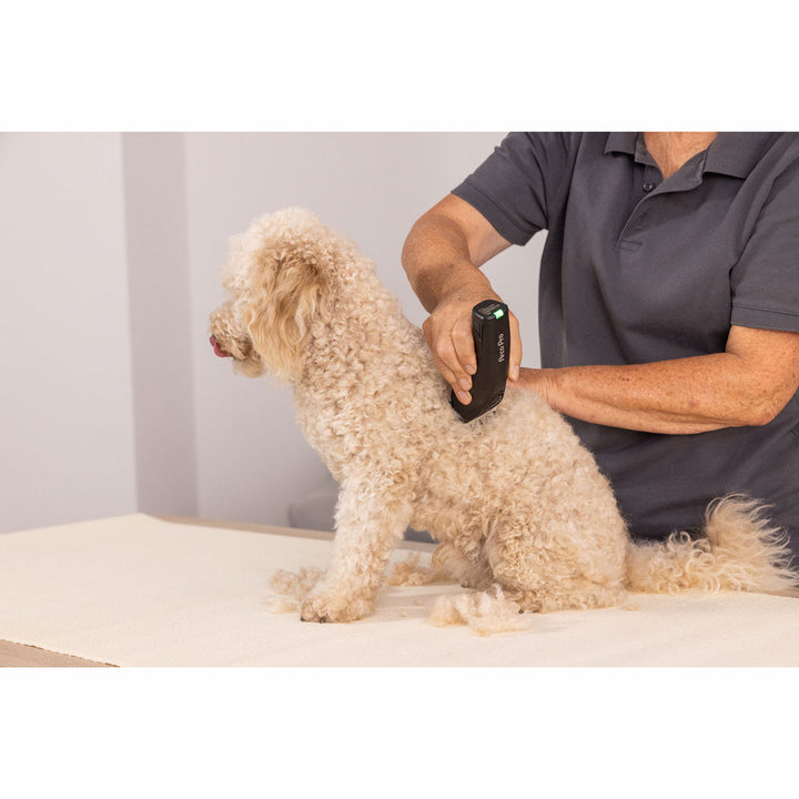 Sladdlösa ArcoPro Clipper Wahl