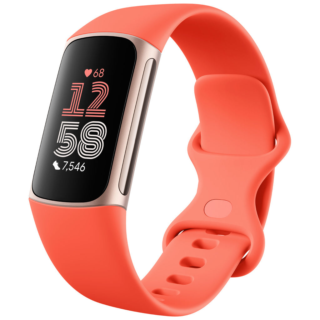 Charge 6 Champagne Gold Aluminum Case Fitbit