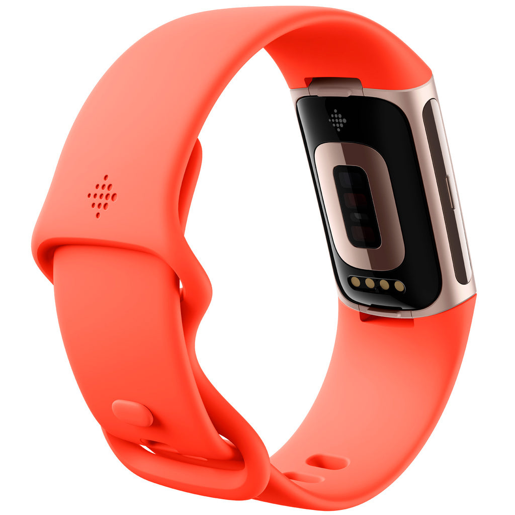 Charge 6 Champagne Gold Aluminum Case Fitbit