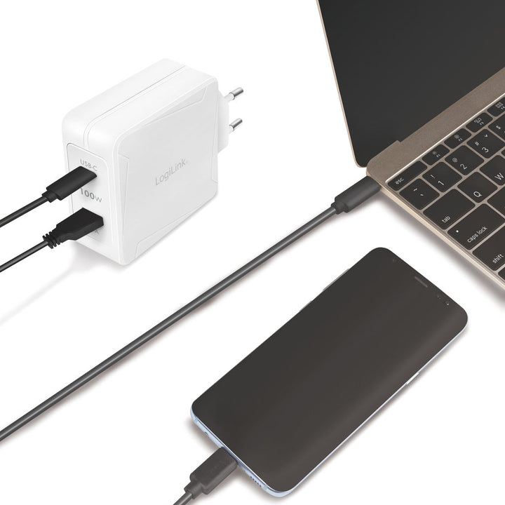 USB-laddare 1 x USB-C PD 1 x USB-A 100W GaN LogiLink